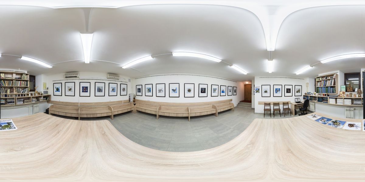 360° Virtual Tour of Interactive Art Gallery